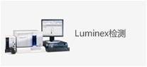 Luminex检测